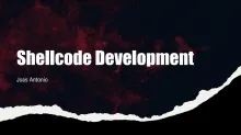 Shellcode Development - Joas Antonio